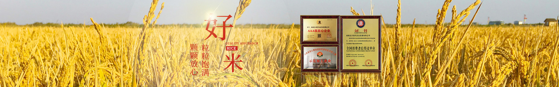 湖南泓天現代農業發展有限公司